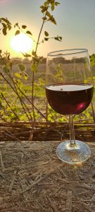 Gérald Besse, Les Serpentines, 2021, Syrah, Martigny, Switzerland 8 Gérald Besse, Les Serpentines, 2021, Syrah, Martigny, Switzerland