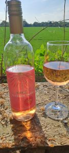 Sainsbury's, Zero Alcohol, Rose, Germany 1 Sainsbury's, Zero Alcohol, Rose, Germany