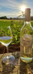 Le Mont Terre, Sauvignon Blanc, 2024, Western Cape, South Africa