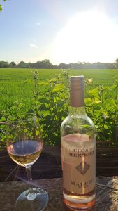 Aldi, Clos de Mendoza, Malbec, Rose, Argentina 2 Aldi, Clos de Mendoza, Malbec, Rose, Argentina