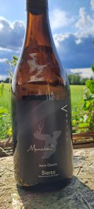 Ventua, Mencia, 2022, Bierzo, Spain